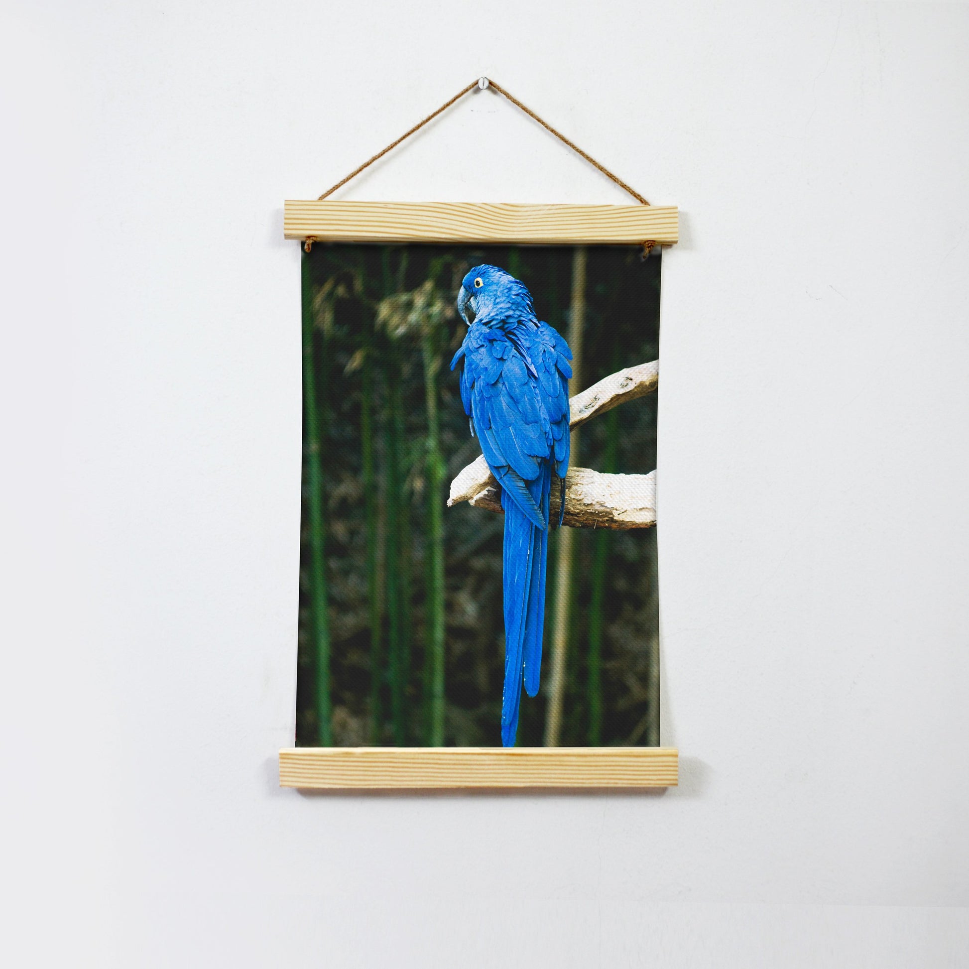 The Blue Parrot Hanging Canvas Painting - Meri Deewar - MeriDeewar