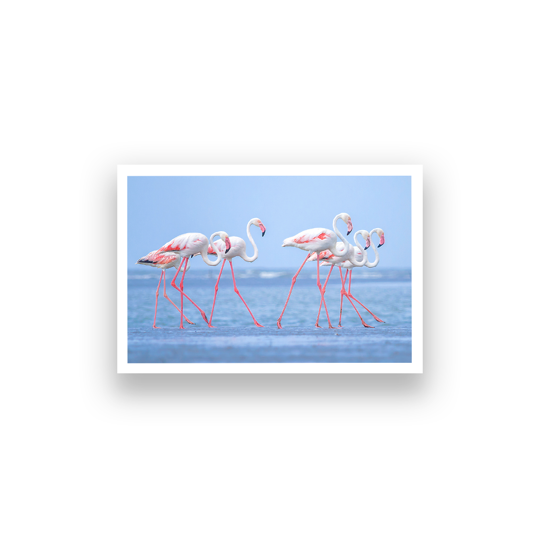 Tropical Flamingo Wall Painting