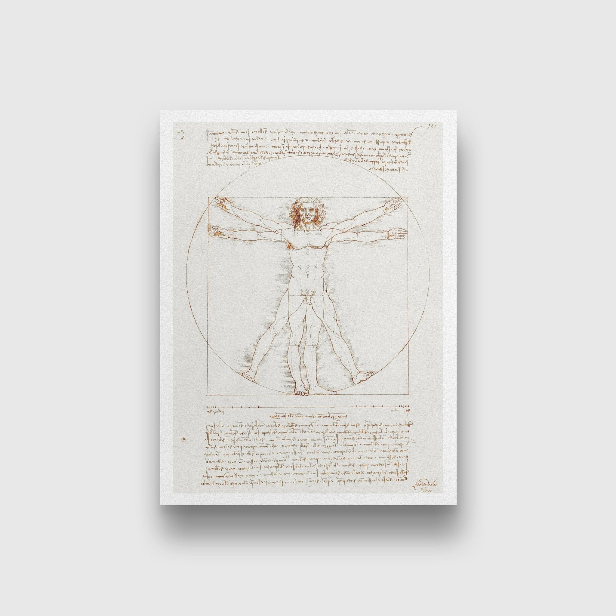 Leonardo da Vinci's Vitruvian Man Painting - Meri Deewar