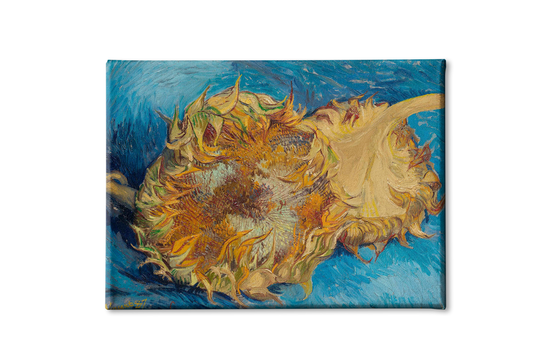 Two Cut Sunflowers By Van Gogh Painting - Meri Deewar - MeriDeewar
