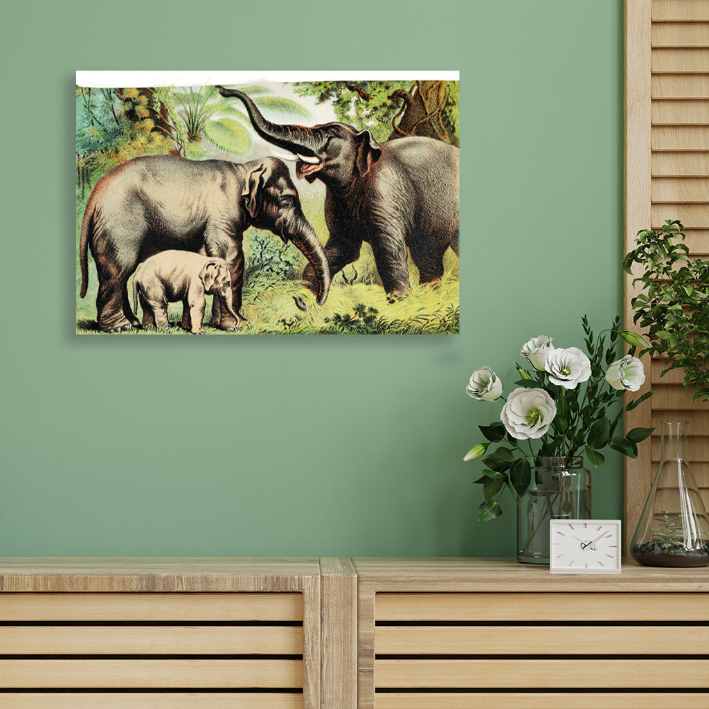 Asiatic elephant - painting