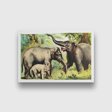 Asiatic elephant - painting