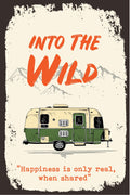 Into-the-Wild Poster - MeriDeewar