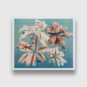 Lily, hand–colored collotype II painting