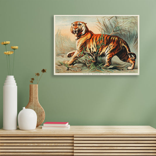 Royal bengal tiger painting