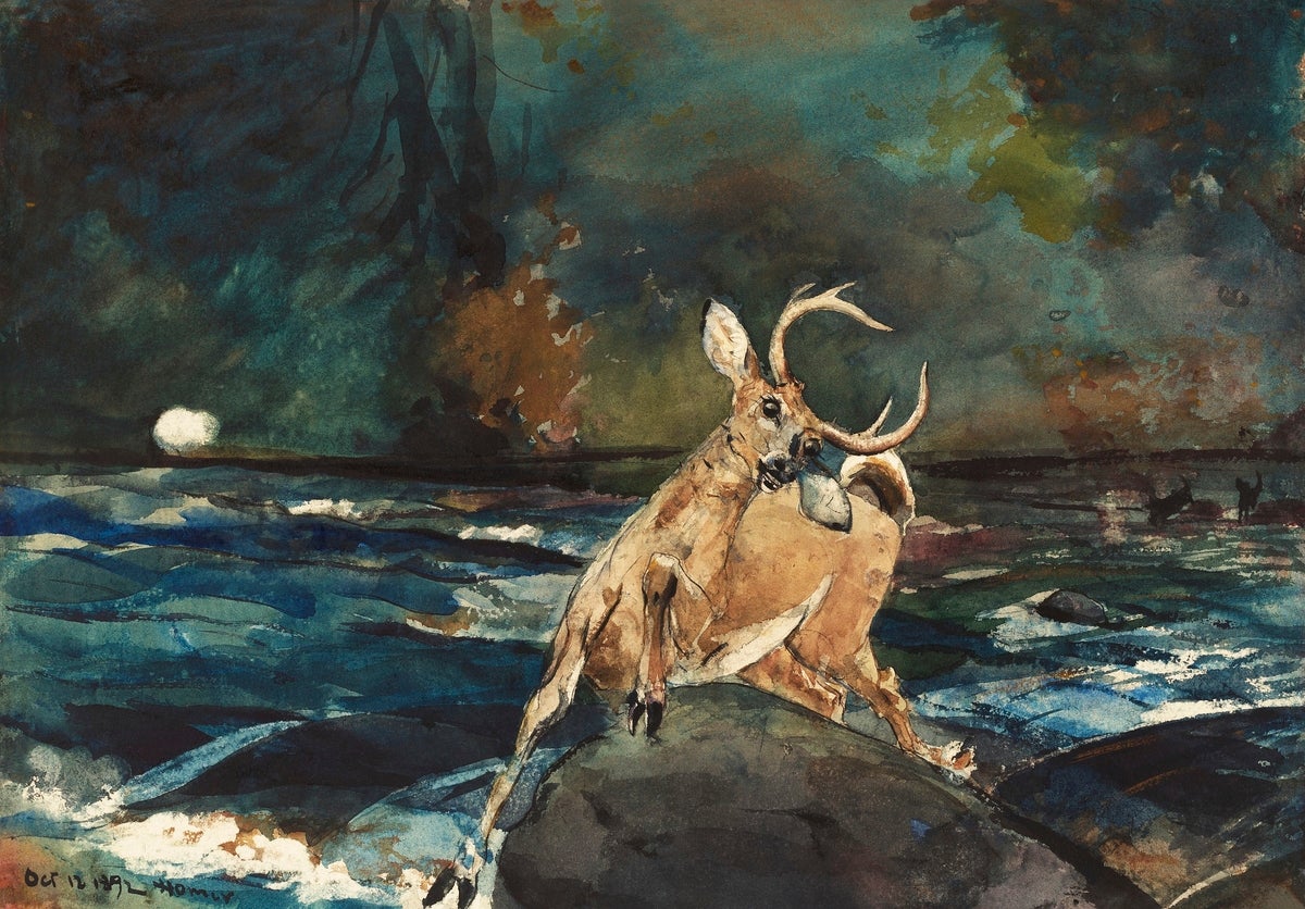 A Good Shot Adirondacks painting - Meri Deewar 3 : 2 Horizontal Premium Wall Art Canvas by MeriDeewar