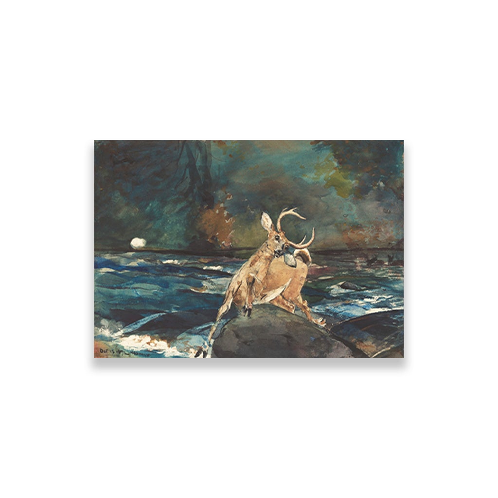 A Good Shot Adirondacks painting - Meri Deewar 3 : 2 Horizontal Premium Wall Art Canvas by MeriDeewar