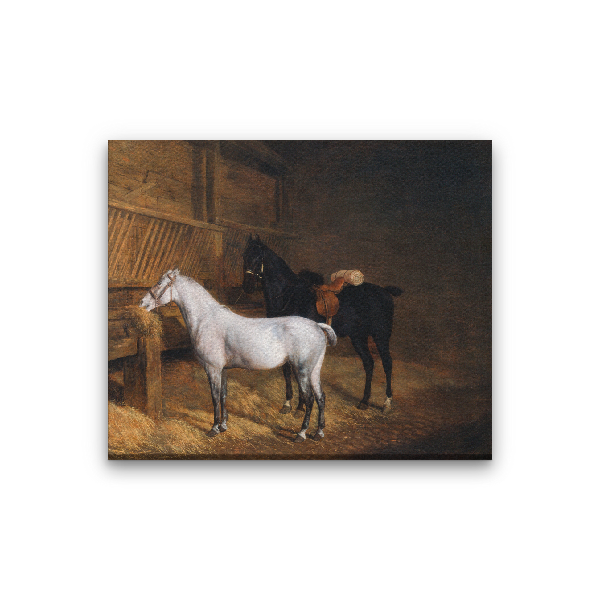 A Grey Pony and a Black Charger in a Stable Painting 6 : 5 Horizontal Premium Wall Art Canvas by MeriDeewar