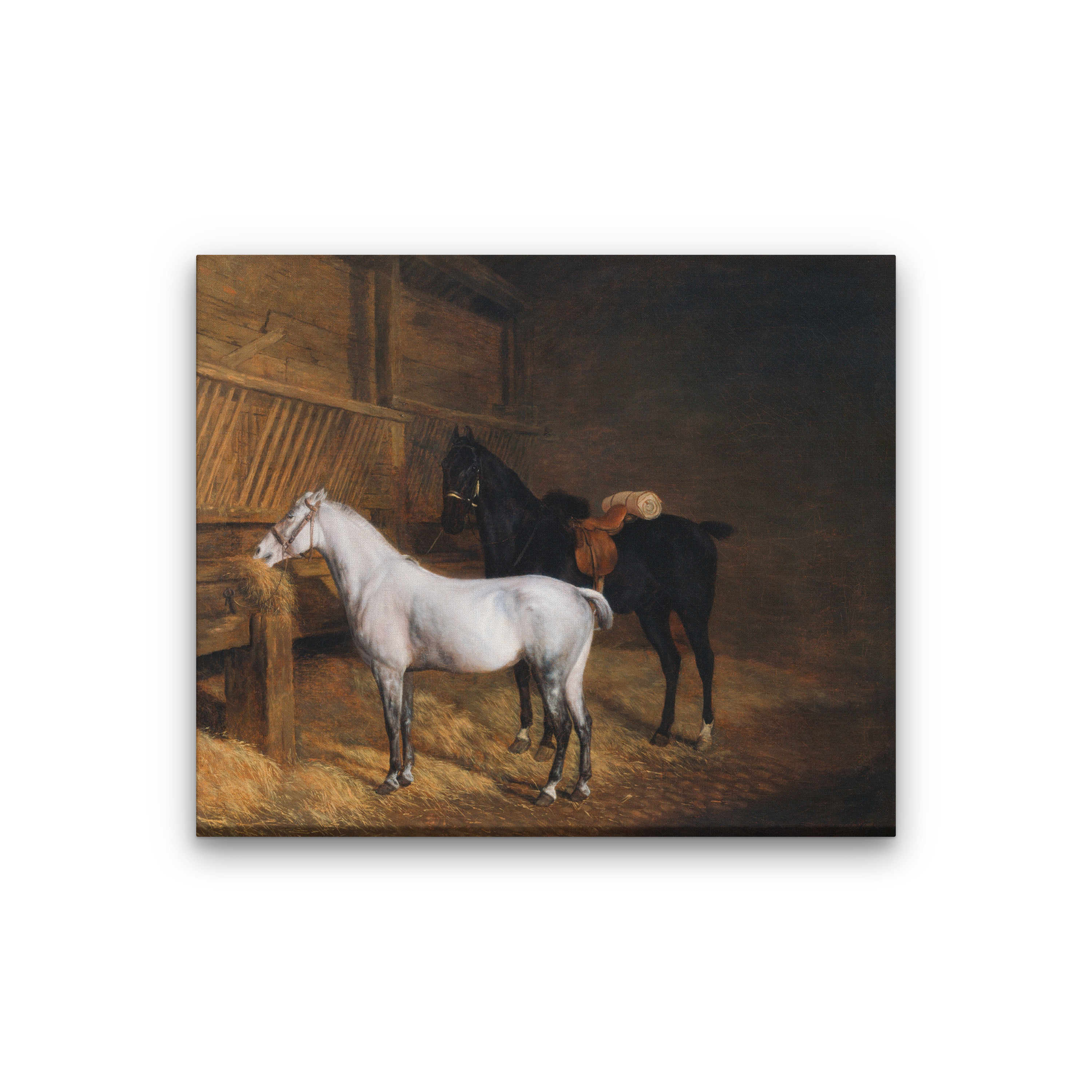 A Grey Pony and a Black Charger in a Stable Painting 6 : 5 Horizontal Premium Wall Art Canvas by MeriDeewar