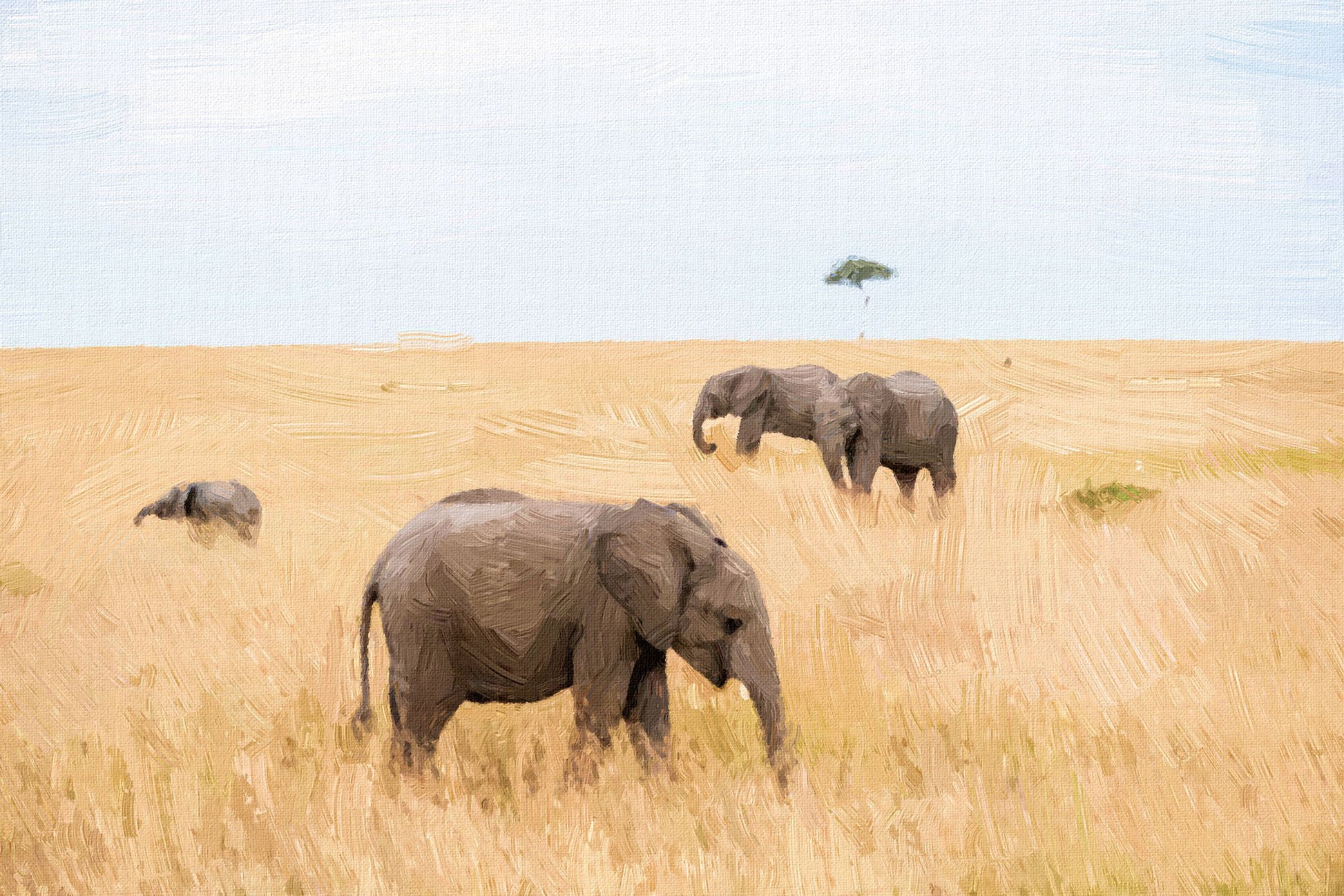 A herd of walking elephants in the Kruger national park painting - Meri Deewar 3 : 2 Horizontal Premium Wall Art Canvas by MeriDeewar