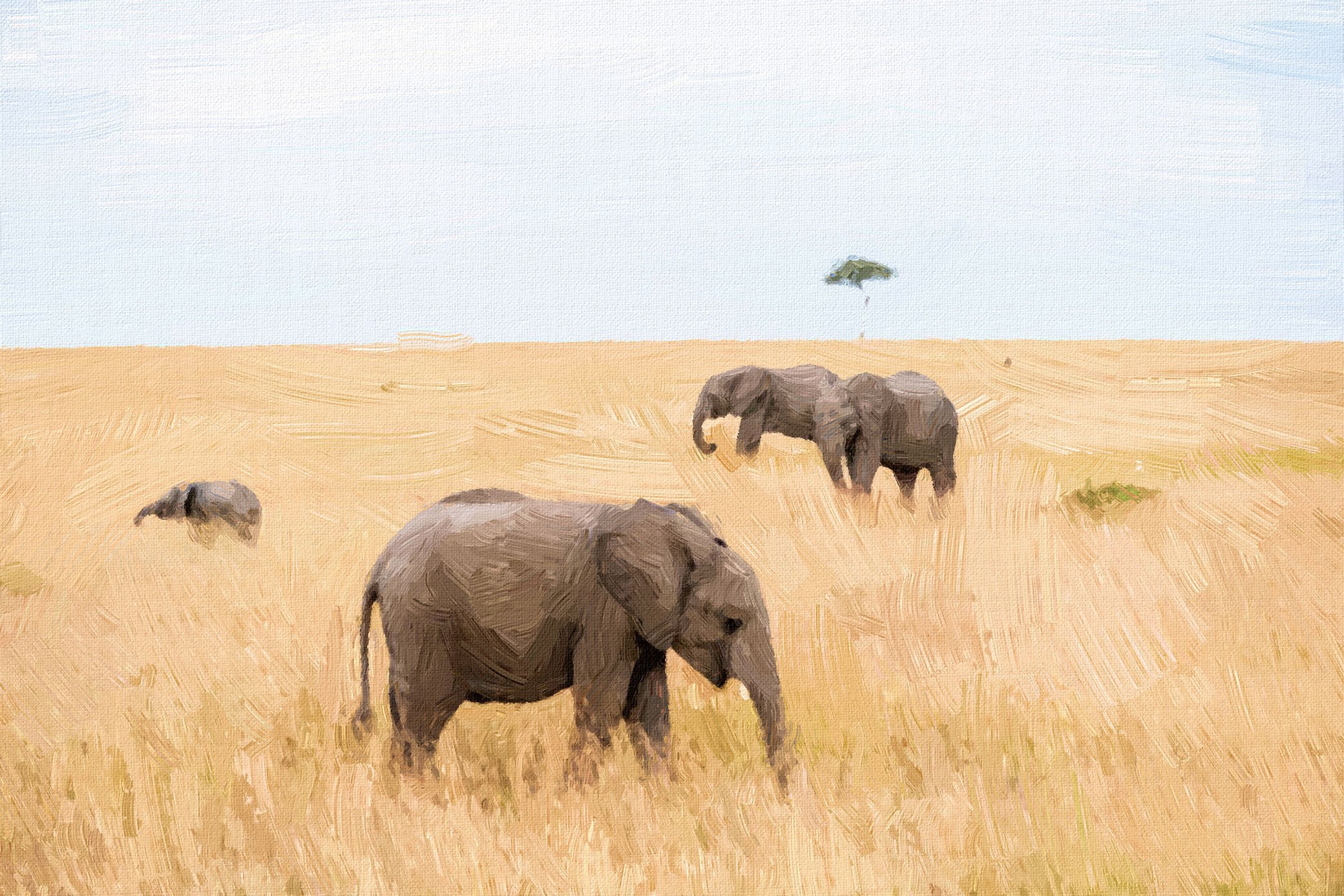 A herd of walking elephants in the Kruger national park painting - Meri Deewar 3 : 2 Horizontal Premium Wall Art Canvas by MeriDeewar