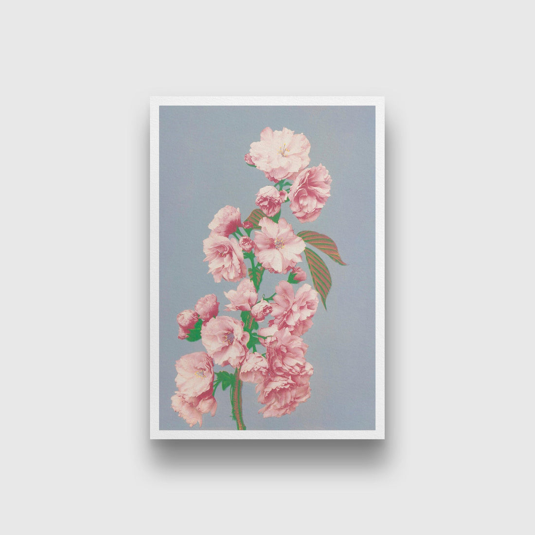 Beautiful Cherry Blossom painting - Meri Deewar 2 : 3 Vertical Premium Wall Art Canvas by MeriDeewar