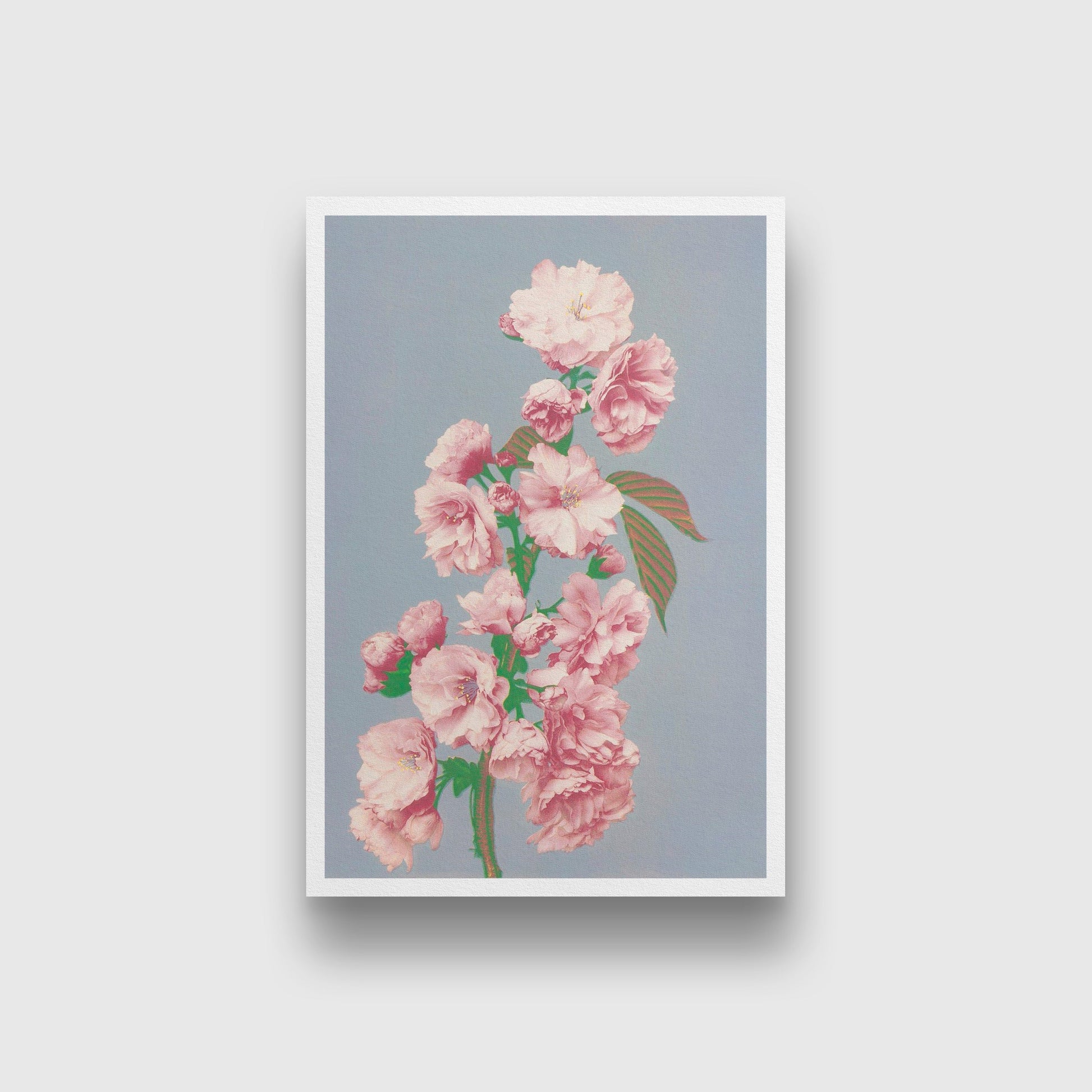 Beautiful Cherry Blossom painting - Meri Deewar 2 : 3 Vertical Premium Wall Art Canvas by MeriDeewar