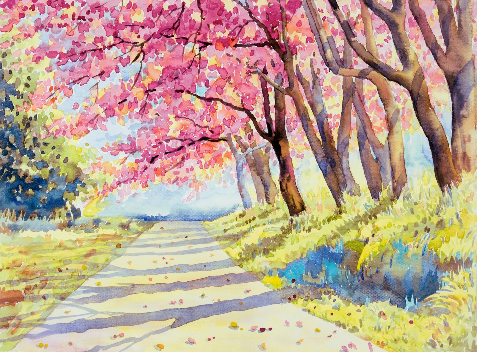 Beautiful Cosmos Flower Painting-Meri Deewar 1 : 1 Square Premium Wall Art Canvas by MeriDeewar