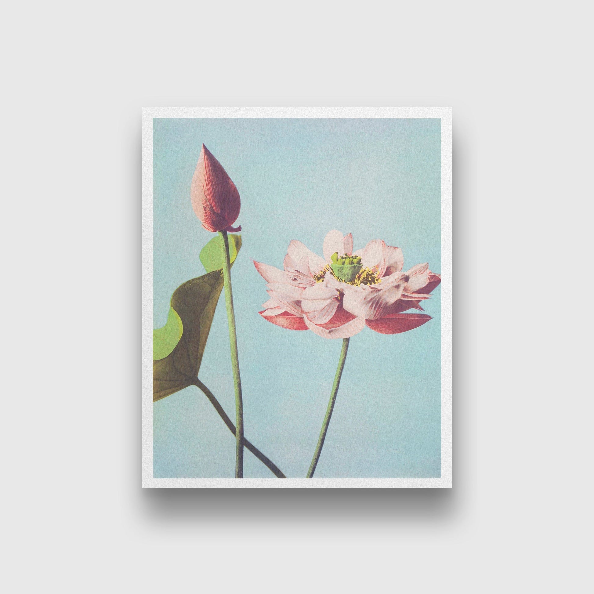 Beautiful Lotus Flowers painting 5 : 6 Vertical Premium Wall Art Canvas by MeriDeewar