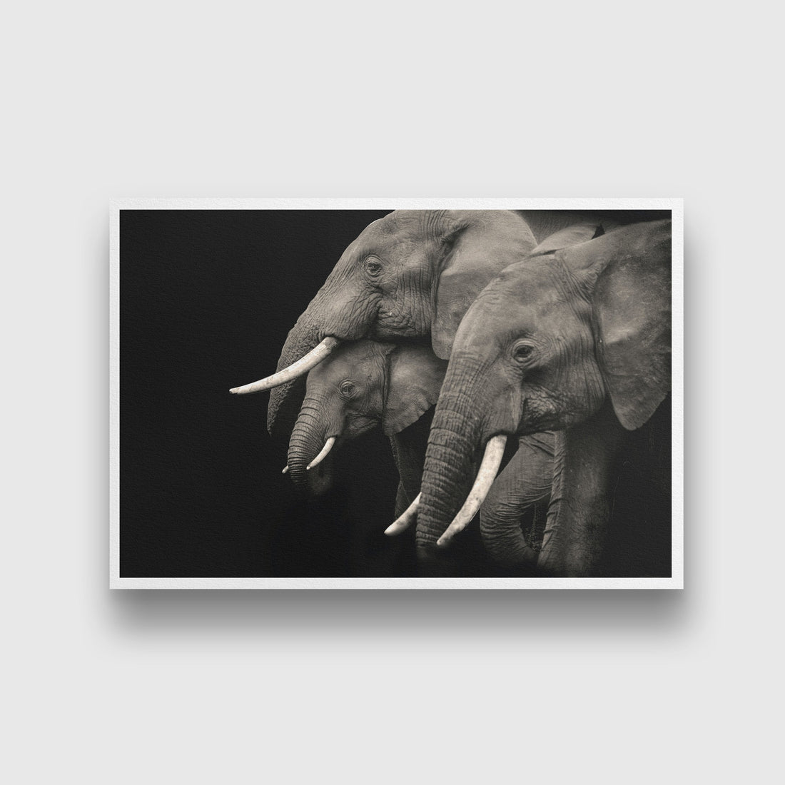 Black and white African elephant Painting - Meri Deewar 3 : 2 Horizontal Premium Wall Art Canvas by MeriDeewar