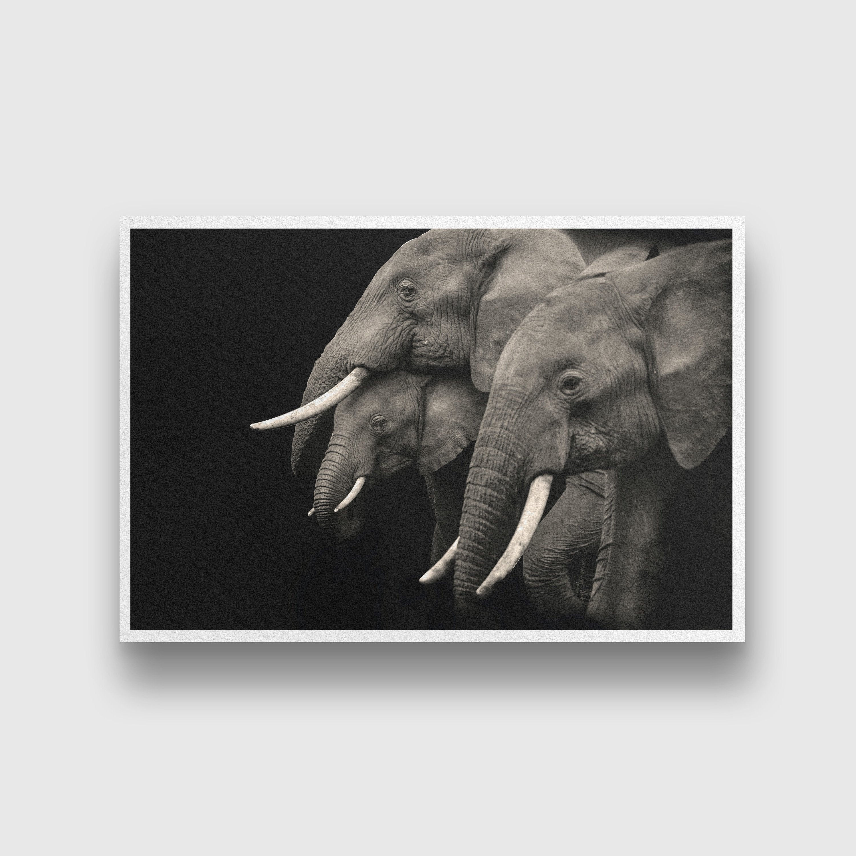 Black and white African elephant Painting - Meri Deewar 3 : 2 Horizontal Premium Wall Art Canvas by MeriDeewar