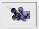 Black Grapes Painting-Meri Deewar 3 : 2 Horizontal Premium Wall Art Canvas by MeriDeewar