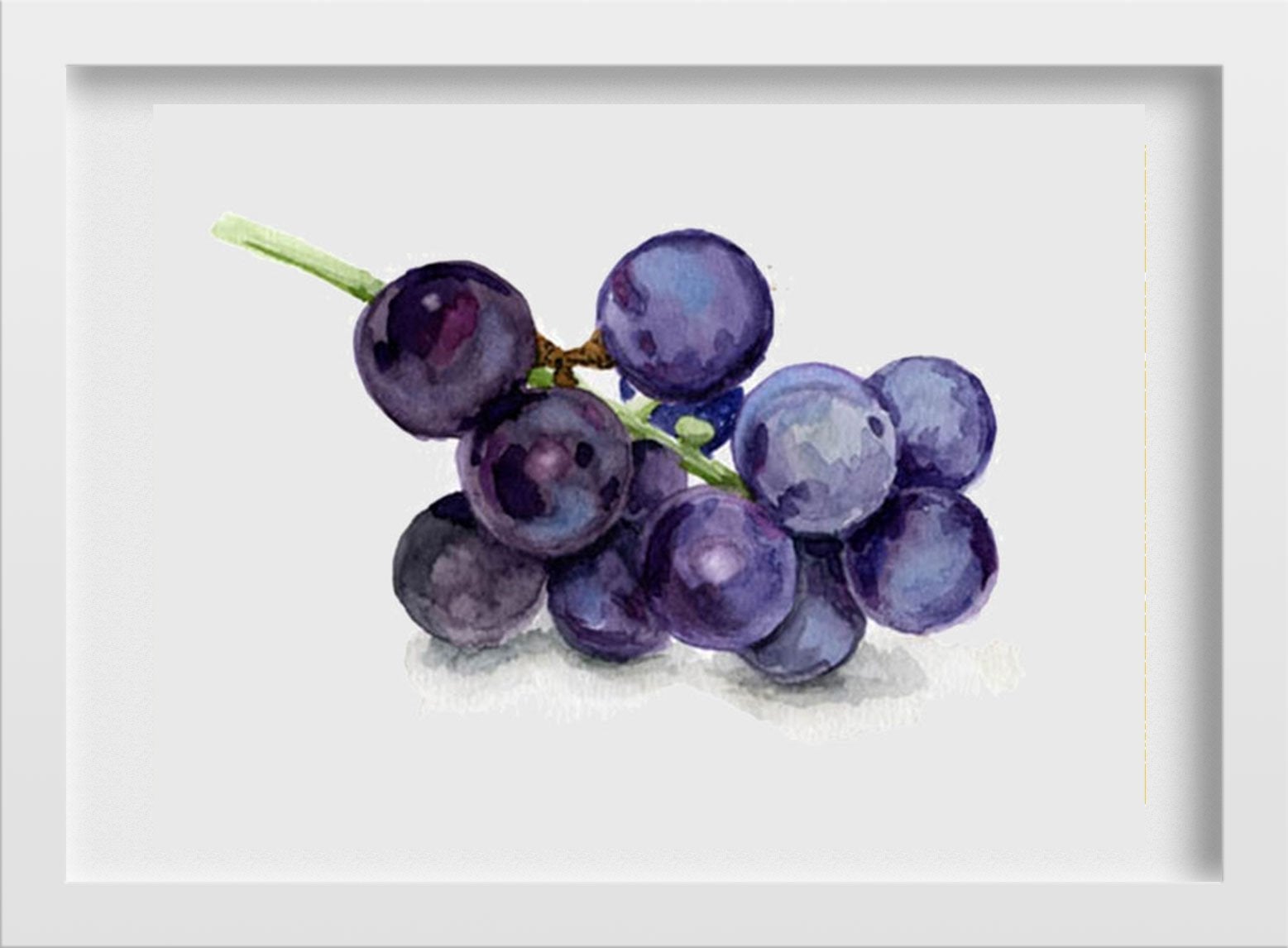 Black Grapes Painting-Meri Deewar 3 : 2 Horizontal Premium Wall Art Canvas by MeriDeewar