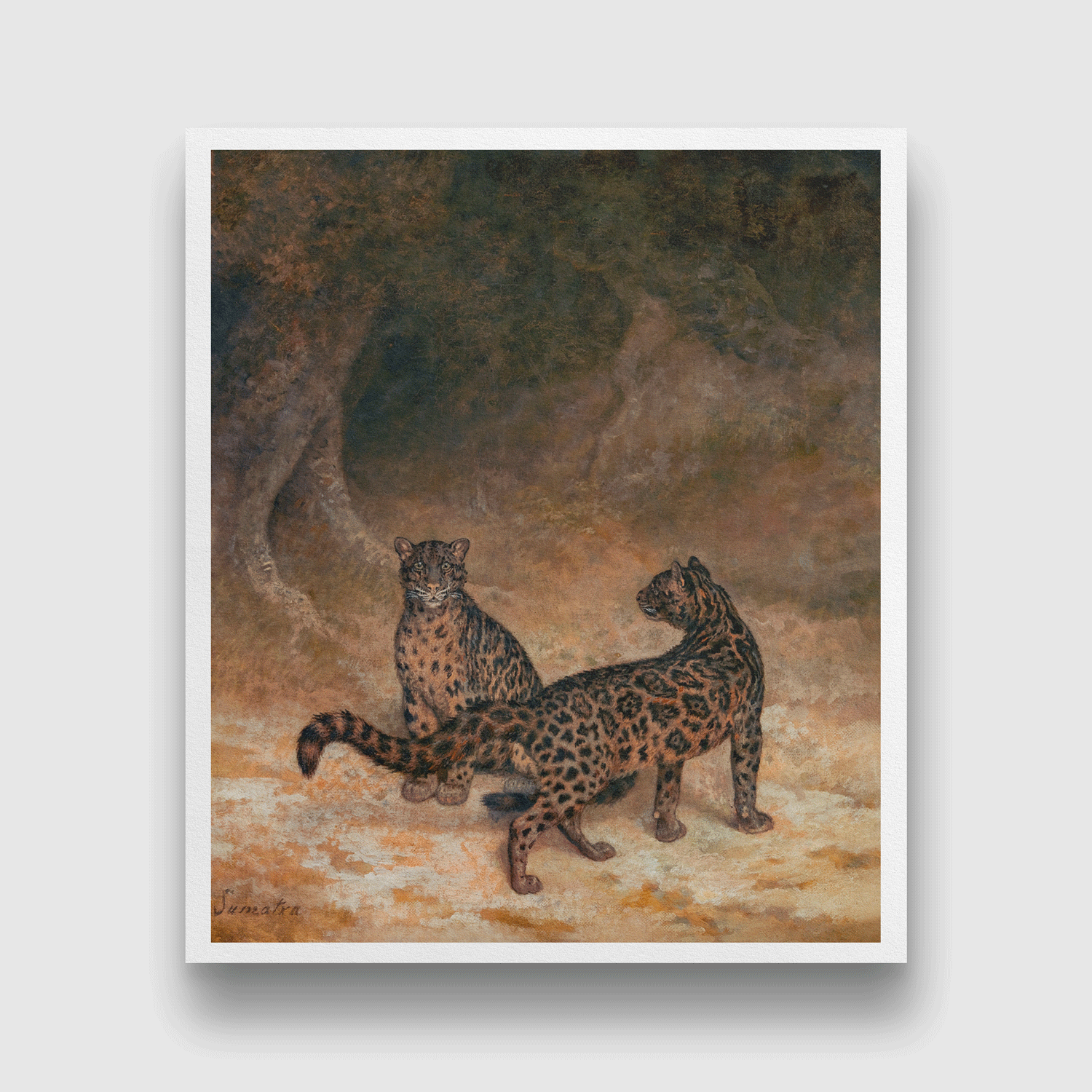 Clouded Leopards Painting 5 : 6 Vertical Premium Wall Art Canvas by MeriDeewar