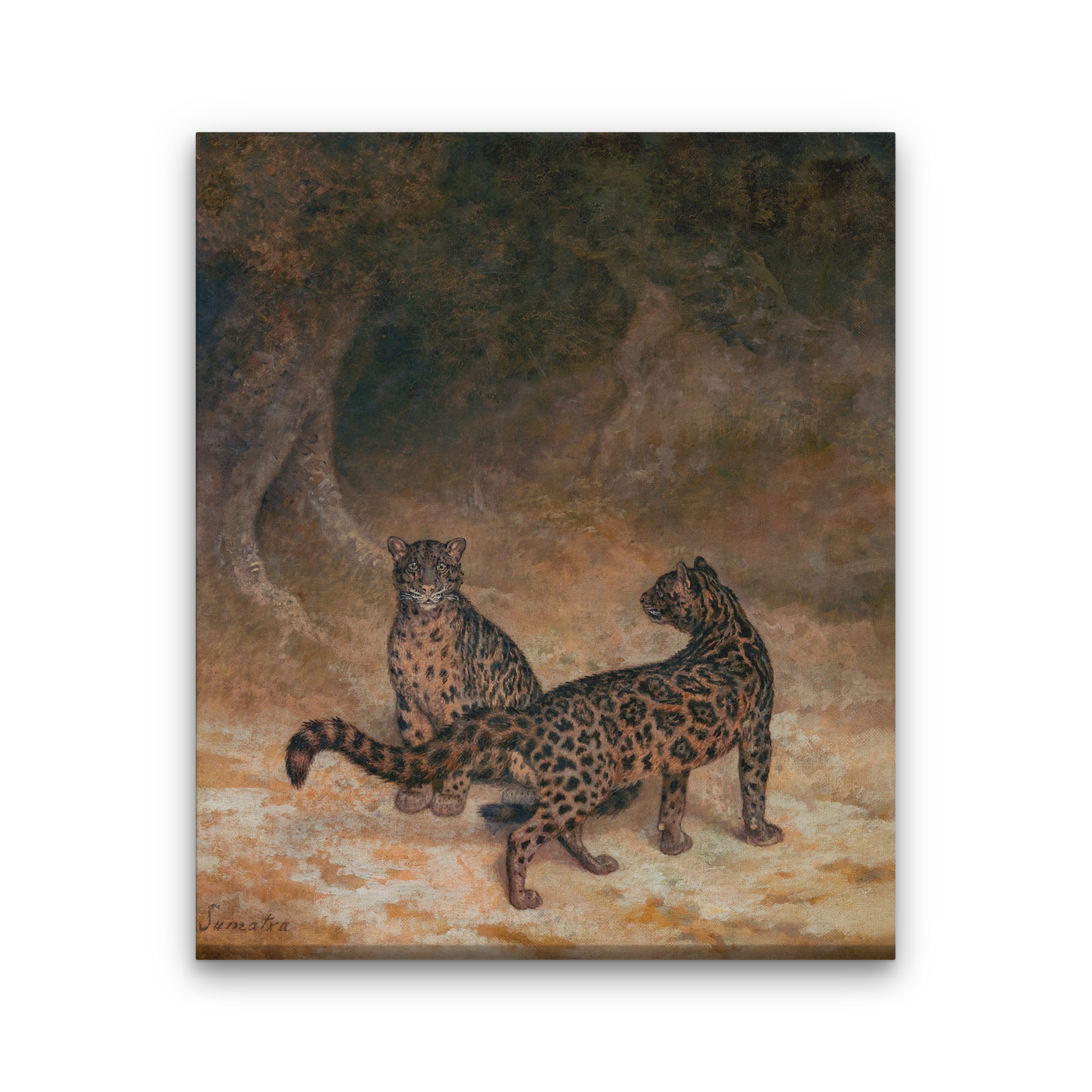 Clouded Leopards Painting 5 : 6 Vertical Premium Wall Art Canvas by MeriDeewar