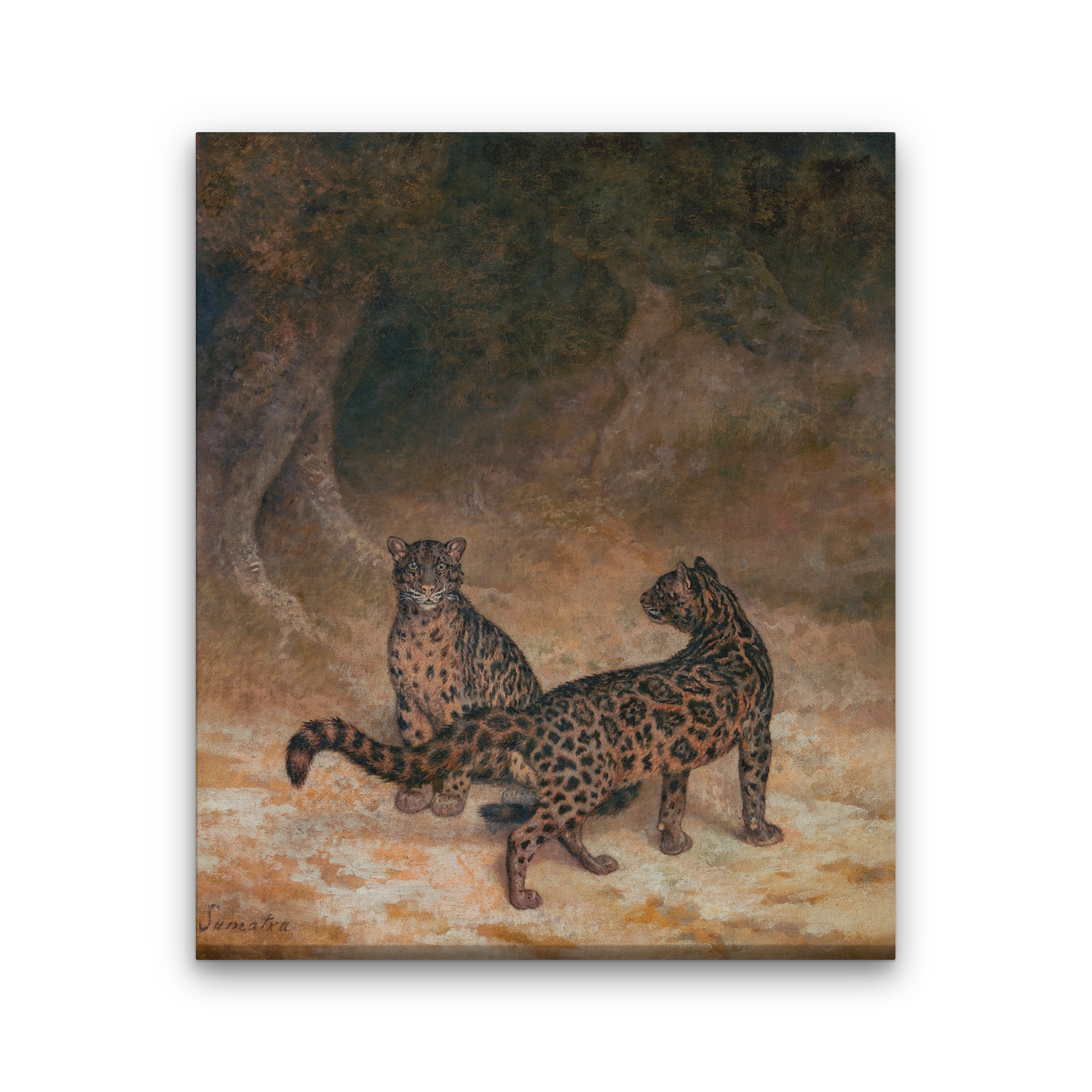 Clouded Leopards Painting 5 : 6 Vertical Premium Wall Art Canvas by MeriDeewar