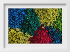 colourful flowers Painting - Meri Deewar 3 : 2 Horizontal Premium Wall Art Canvas by MeriDeewar