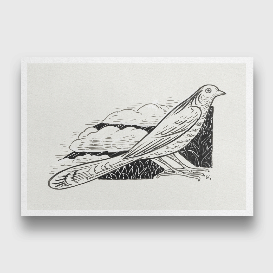 Dove Painting 3 : 2 Horizontal Premium Wall Art Canvas by MeriDeewar