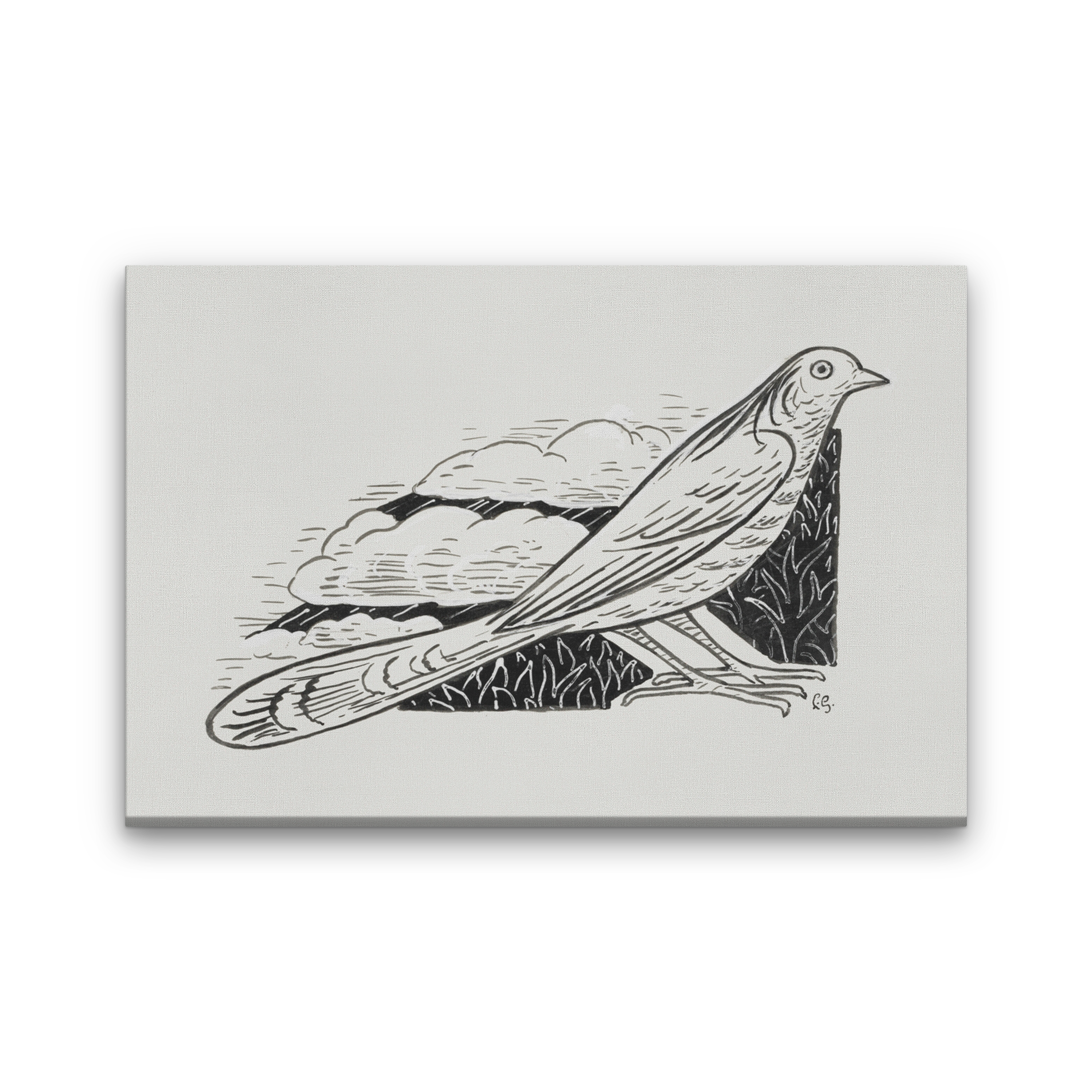 Dove Painting 3 : 2 Horizontal Premium Wall Art Canvas by MeriDeewar