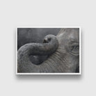 Elephant Eye painting - Meri Deewar 3 : 2 Horizontal Premium Wall Art Canvas by MeriDeewar