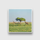 Elephant is standing near the acacia tree Painting - Meri Deewar 1 : 1 Square Premium Wall Art Canvas by MeriDeewar