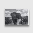 Elephants in black and white painting - Meri Deewar 3 : 2 Horizontal Premium Wall Art Canvas by MeriDeewar