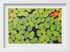 Floating Leaves Painting - Meri Deewar 3 : 2 Horizontal Premium Wall Art Canvas by MeriDeewar