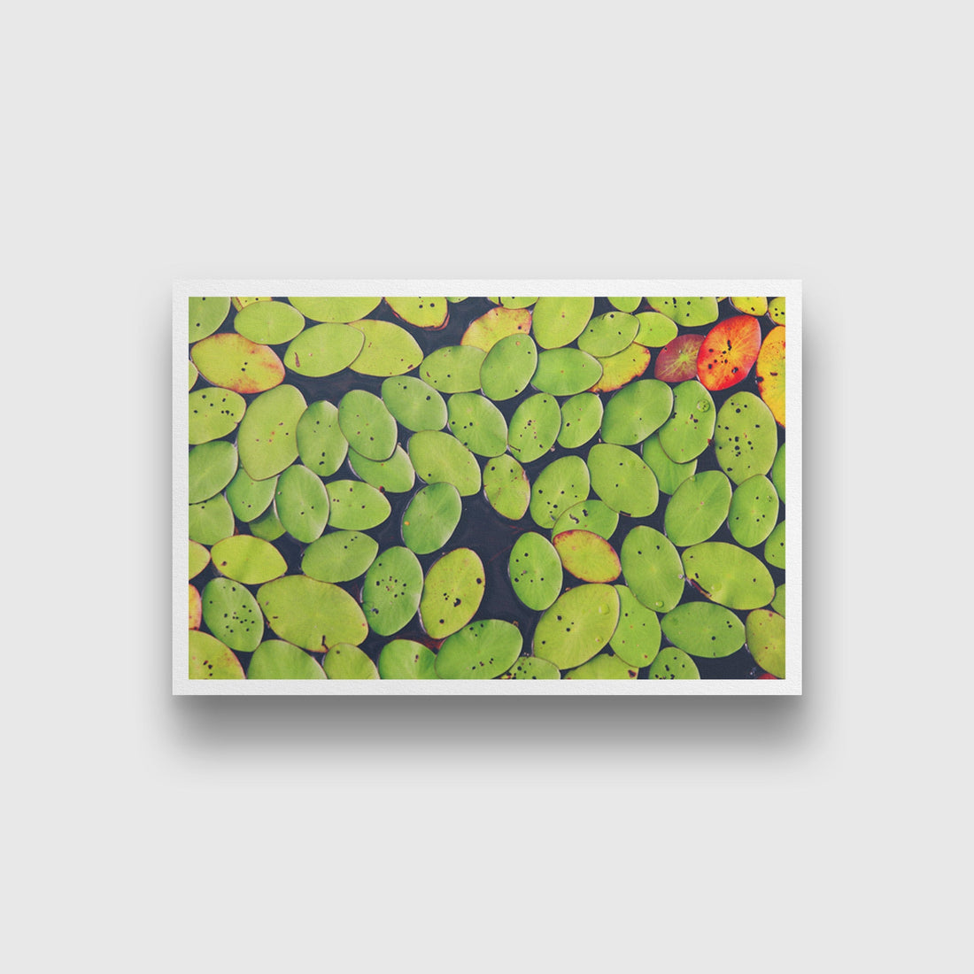 Floating Leaves Painting - Meri Deewar 3 : 2 Horizontal Premium Wall Art Canvas by MeriDeewar