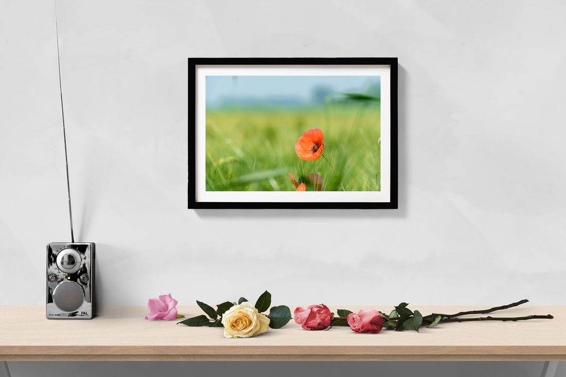 Flower in Meadow Wall Art Painting - Meri Deewar 3 : 2 Horizontal Premium Wall Art Canvas by MeriDeewar