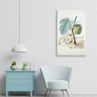 fruit series Painting -  Meri Deewar 3 : 4 Vertical Premium Wall Art Canvas by MeriDeewar