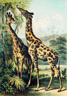 Giraffe - painting 3 : 4.2 Vertical Premium Wall Art Canvas by MeriDeewar