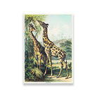 Giraffe - painting 3 : 4.2 Vertical Premium Wall Art Canvas by MeriDeewar