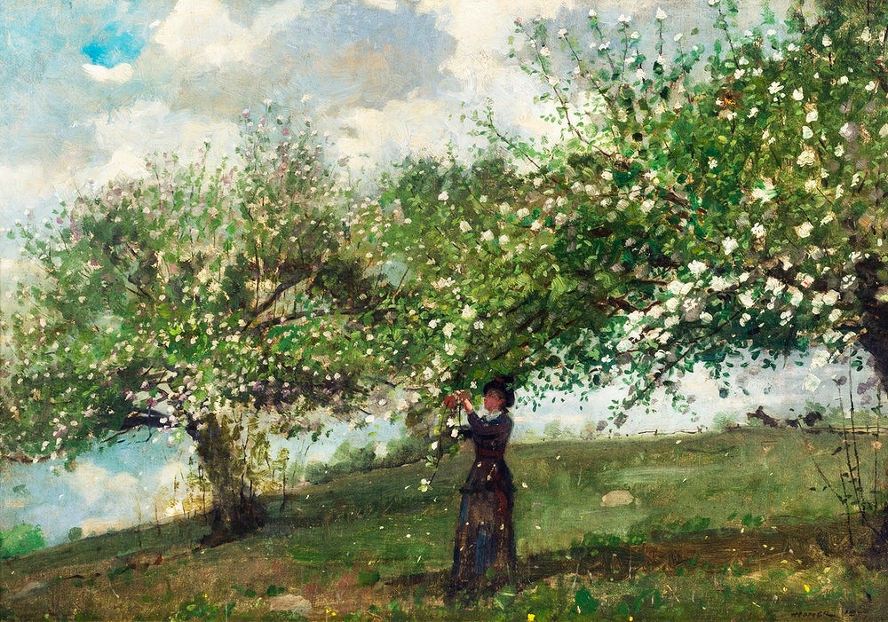 Girl Picking Apple Blossoms painting - Meri Deewar 3 : 2 Horizontal Premium Wall Art Canvas by MeriDeewar