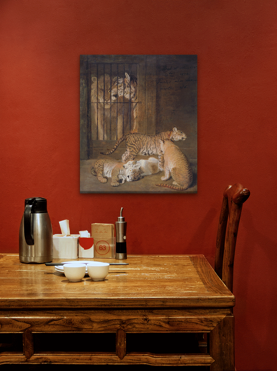 Group of Whelps Bred between a Lion and a Tigress Painting 5 : 6 Vertical Premium Wall Art Canvas by MeriDeewar