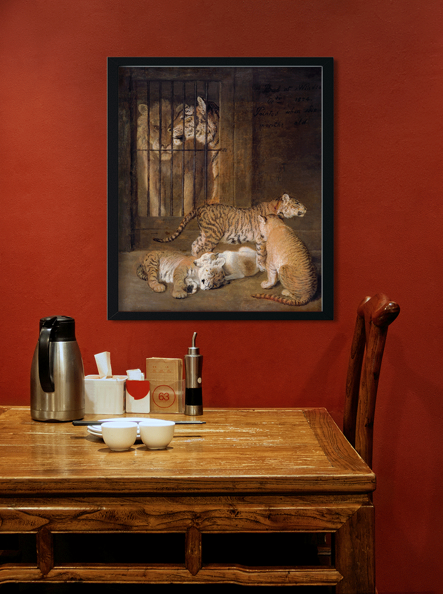 Group of Whelps Bred between a Lion and a Tigress Painting 5 : 6 Vertical Premium Wall Art Canvas by MeriDeewar
