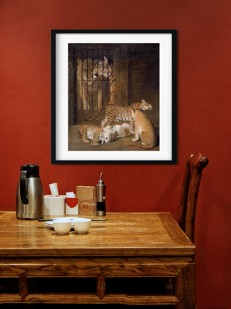 Group of Whelps Bred between a Lion and a Tigress Painting 5 : 6 Vertical Premium Wall Art Canvas by MeriDeewar