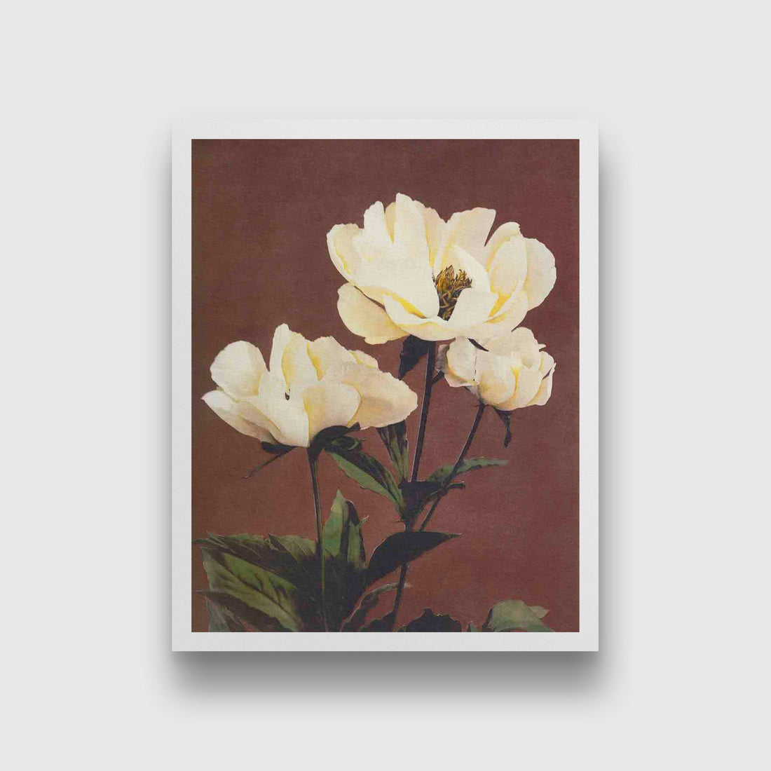 Hærdaceous Peony painting 4 :5 Vertical Premium Wall Art Canvas by MeriDeewar
