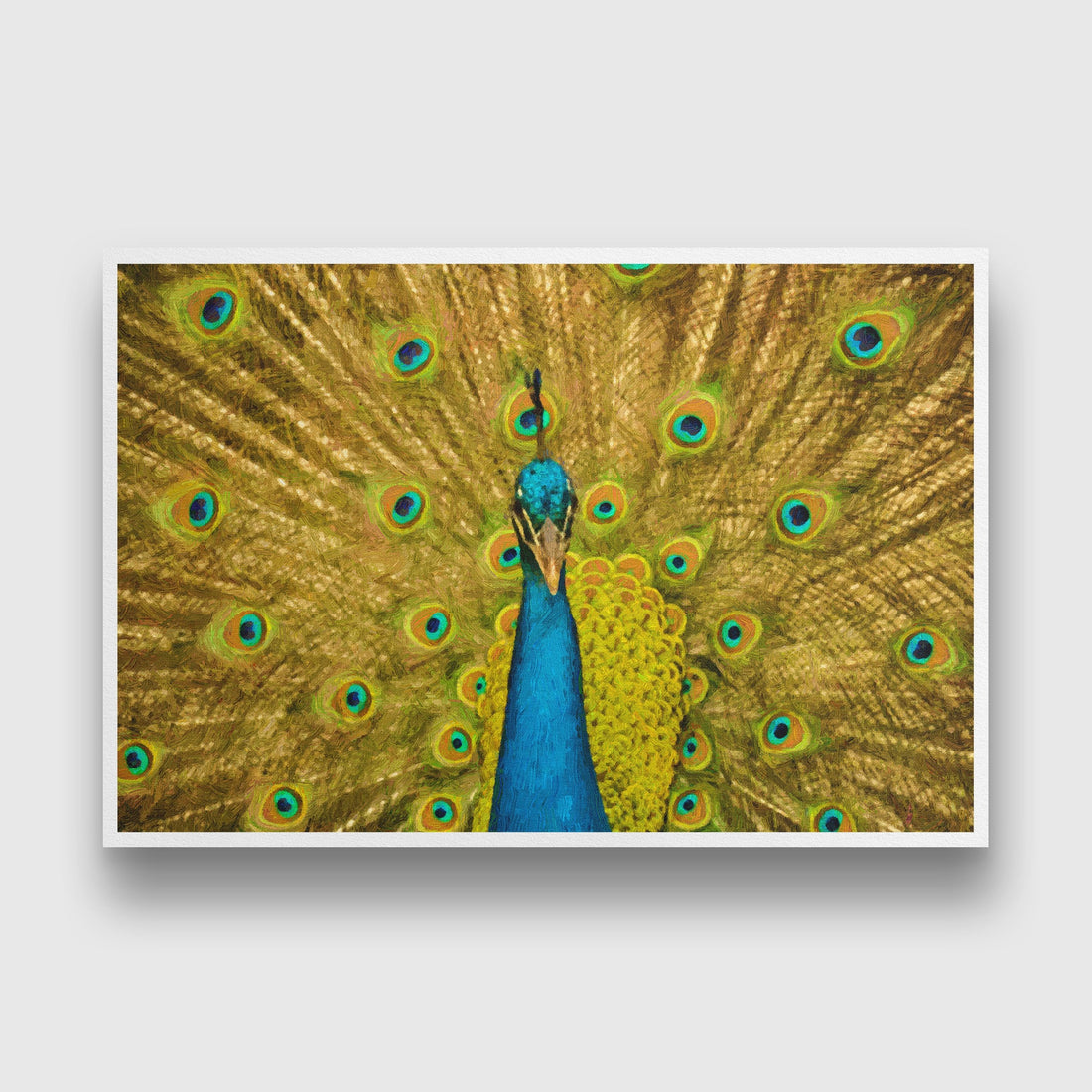 Indian Male Peacock Painting - Meri Deewar 3 : 2 Horizontal Premium Wall Art Canvas by MeriDeewar