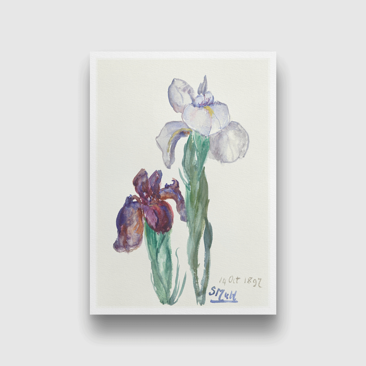 Irises Painting 2 : 3 Vertical Premium Wall Art Canvas by MeriDeewar