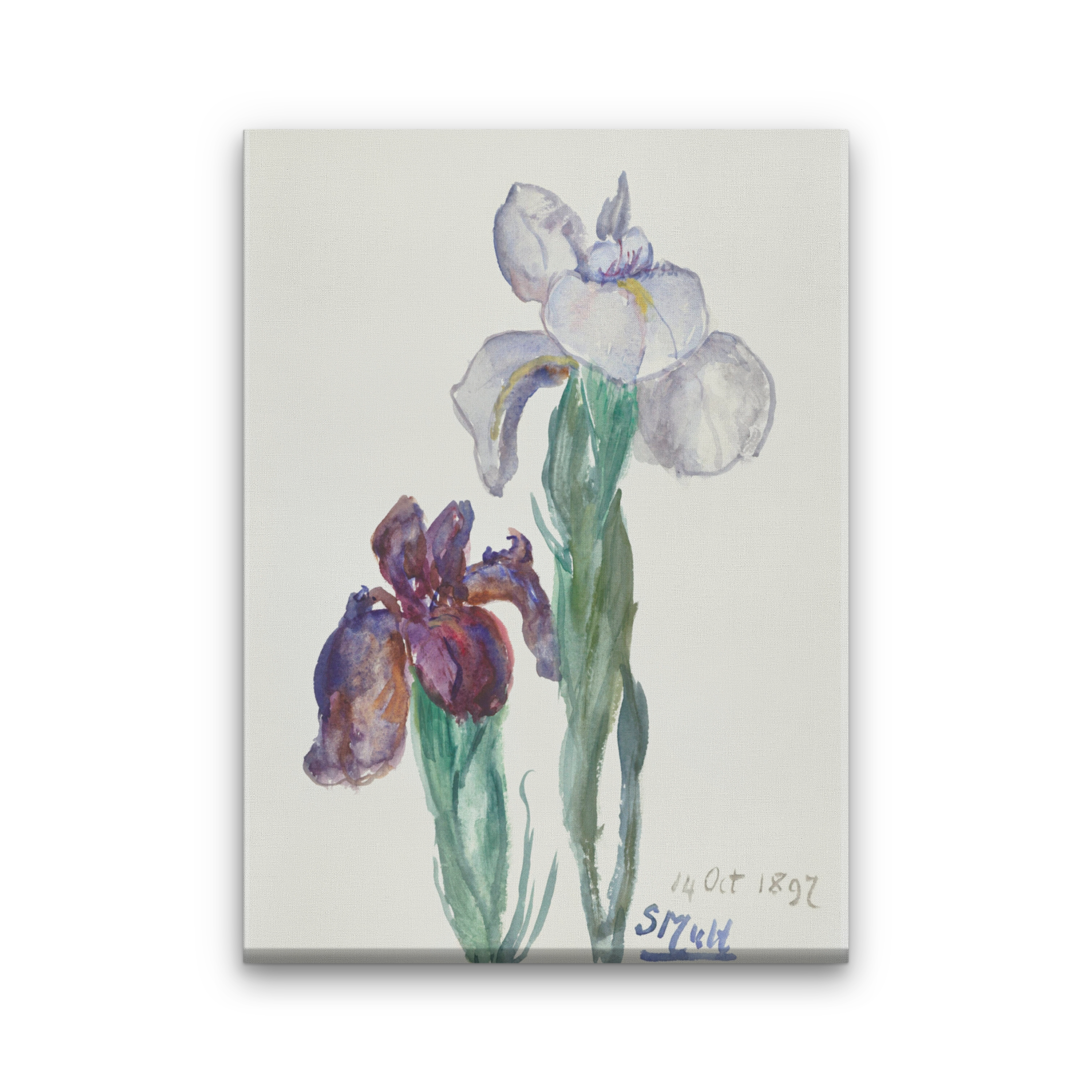 Irises Painting 2 : 3 Vertical Premium Wall Art Canvas by MeriDeewar