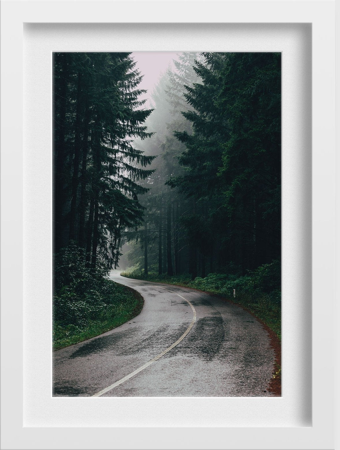 Jungle Path Wall Art Painting - Meri Deewar 2 : 3 Vertical Premium Wall Art Canvas by MeriDeewar
