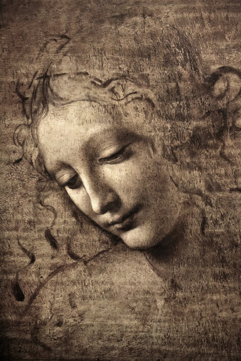 Leonardo da Vinci's La Scapigliata Painting - Meri Deewar 2 : 3 Vertical Premium Wall Art Canvas by MeriDeewar