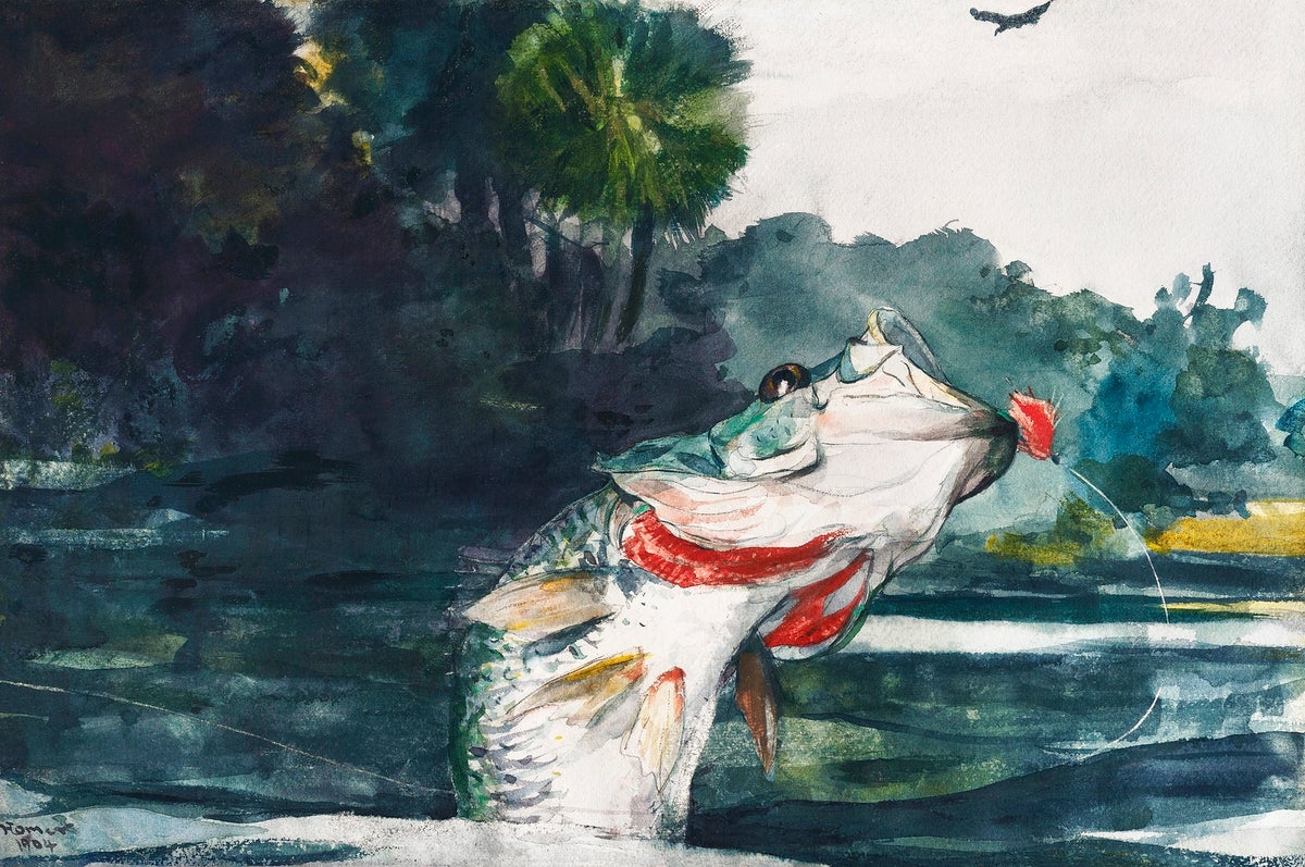 Life Size Black Bass painting - Meri Deewar 3 : 2 Horizontal Premium Wall Art Canvas by MeriDeewar