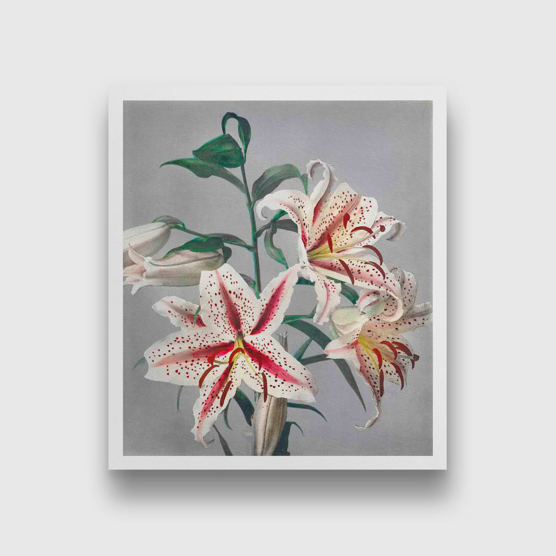 Lily Close painting 5 : 6 Vertical Premium Wall Art Canvas by MeriDeewar